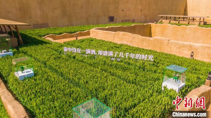麦田里的展品。　河南省文化和旅游厅供图